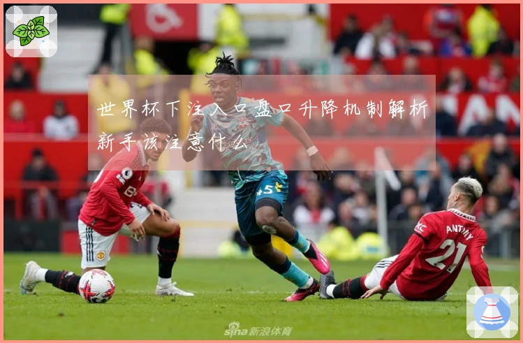 世界杯下注入口盘口升降机制解析新手该注意什么