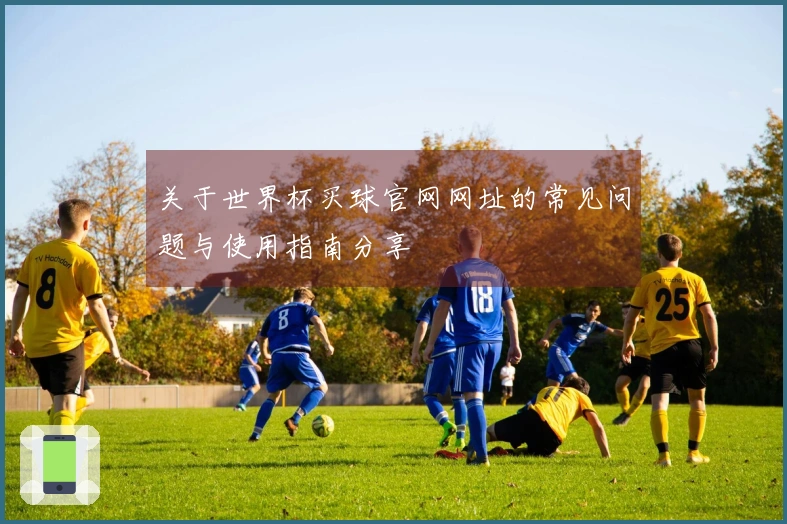 关于世界杯买球官网网址的常见问题与使用指南分享