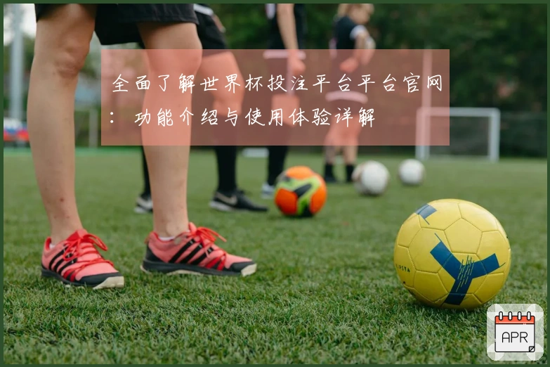 全面了解世界杯投注平台平台官网：功能介绍与使用体验详解