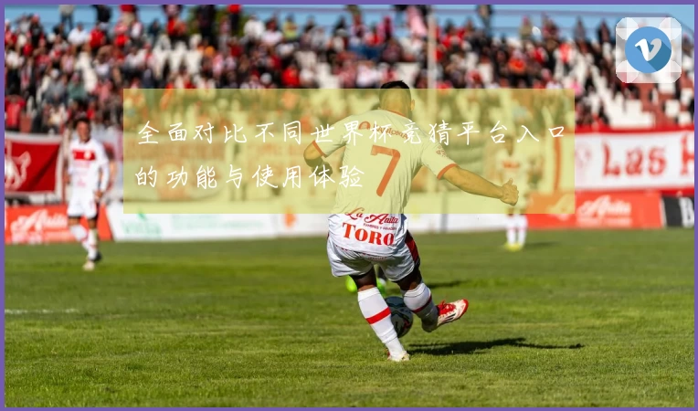 全面对比不同世界杯竞猜平台入口的功能与使用体验