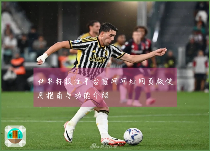世界杯投注平台官网网址网页版使用指南与功能介绍