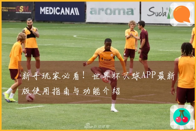 新手玩家必看！世界杯买球APP最新版使用指南与功能介绍