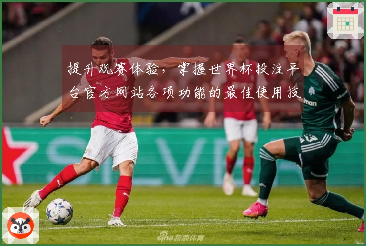 提升观赛体验，掌握世界杯投注平台官方网站各项功能的最佳使用技巧