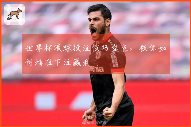 世界杯滚球投注技巧盘点，教你如何精准下注赢利
