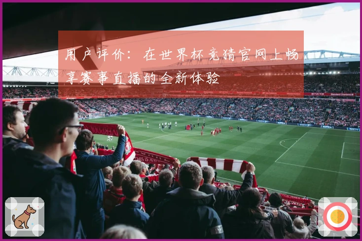 用户评价：在世界杯竞猜官网上畅享赛事直播的全新体验