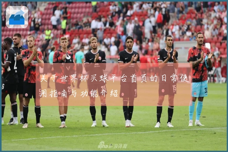 关于世界杯买球平台首页的日常使用指南与功能介绍