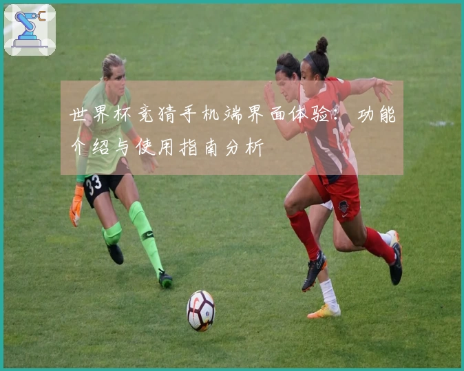 世界杯竞猜手机端界面体验：功能介绍与使用指南分析