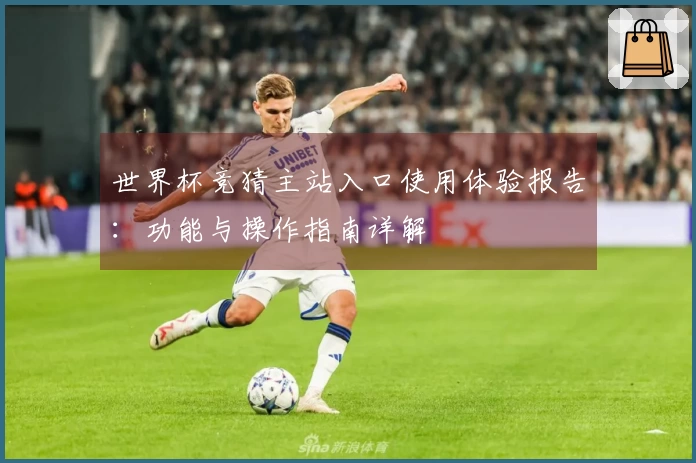 世界杯竞猜主站入口使用体验报告：功能与操作指南详解