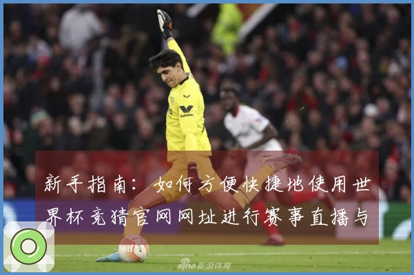 新手指南：如何方便快捷地使用世界杯竞猜官网网址进行赛事直播与互动