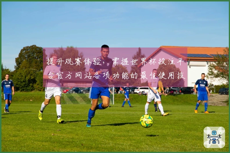 提升观赛体验，掌握世界杯投注平台官方网站各项功能的最佳使用技巧